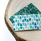 Aquamarine Snap Clip Set